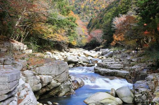 奥津渓紅葉　８ 渓谷,奥津渓,紅葉の写真素材