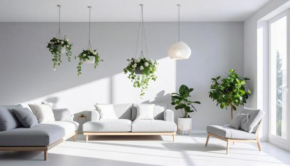 観葉植物を飾る白い部屋 観葉植物を飾る白い部屋の写真