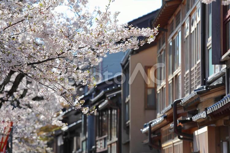 金沢市の主計町の茶屋の景色 アジア,日本,北陸の写真素材