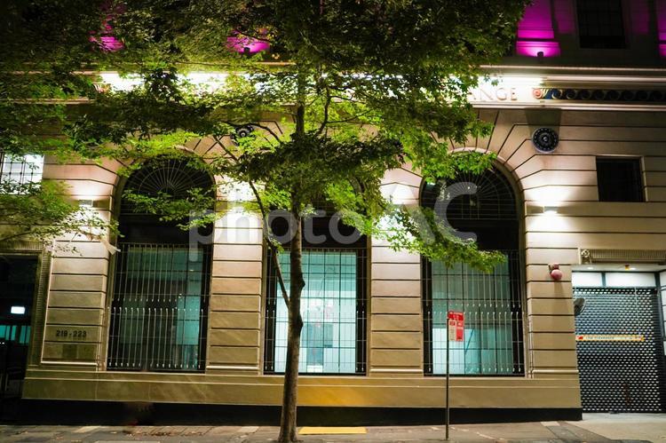 夜の街並みと建物 夜景,街路樹,緑の葉の写真素材