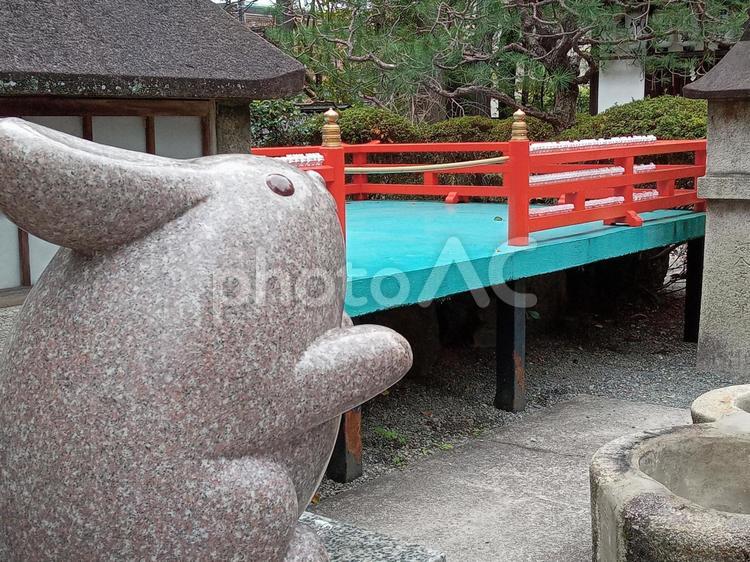 京都府　岡崎神社　うさぎの像 京都府,岡崎神社,神社の写真素材