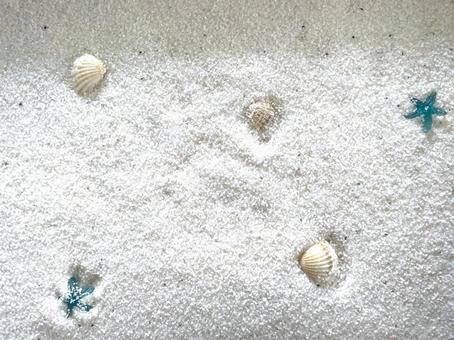 白い砂に貝殻(海のイメージ)23 白い砂に貝殻(海のイメージ)23 貝殻,貝,白の写真素材