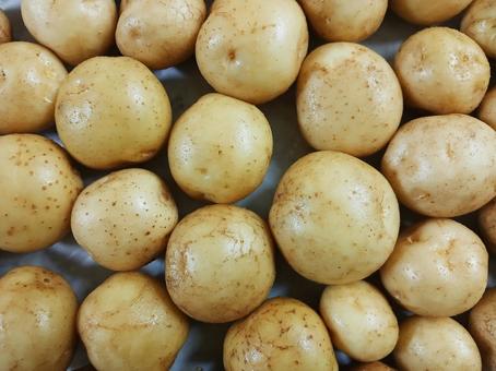 ジャガイモ 平置き ジャガイモ 平置き ジャガイモ,野菜,ポテトの写真素材