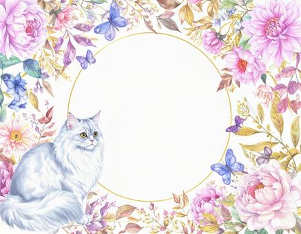 ペルシャ猫と花のフレームの写真