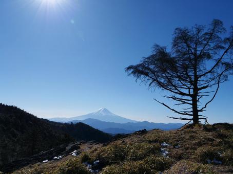 小金沢山から望む富士山 小金沢山から望む富士山 小金沢山,大月市,甲州市の写真素材