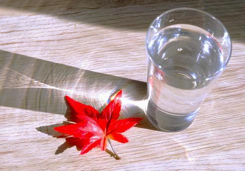 秋朝、一杯のウォーター 水,秋,紅葉の写真素材