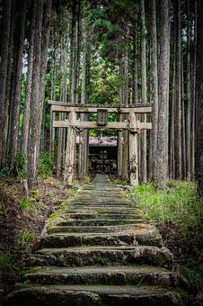 京都　賀茂神社の風景 京都,京都府,京都市の写真素材