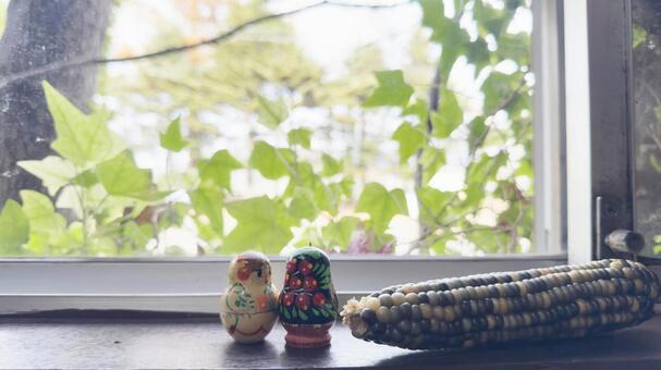 窓から見える風景　ツタの緑とトウモロコシ 蔦,窓,自然光の写真素材