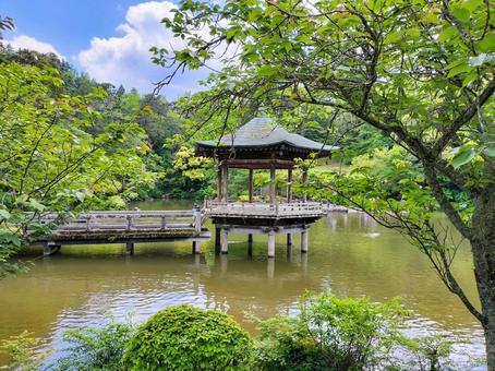成田山新勝寺 成田山公園の池の畔の浮御堂 成田山新勝寺 成田山公園の池の畔の浮御堂の写真