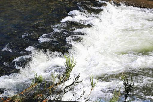 川の流れ12 (神奈川県横浜市内にて) 川,河川,横浜市の写真素材