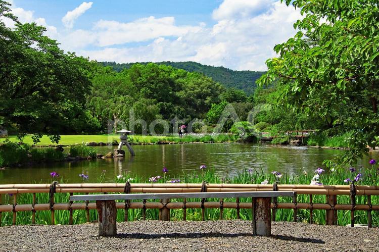 公園や自然のイメージ 公園,自然,旅の写真素材