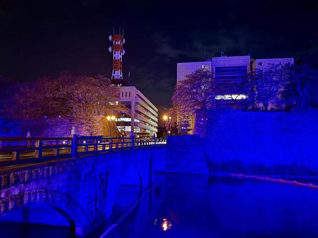 福井城跡　世界糖尿病デー　ライトアップ 秋,福井中央公園,紅葉の写真素材