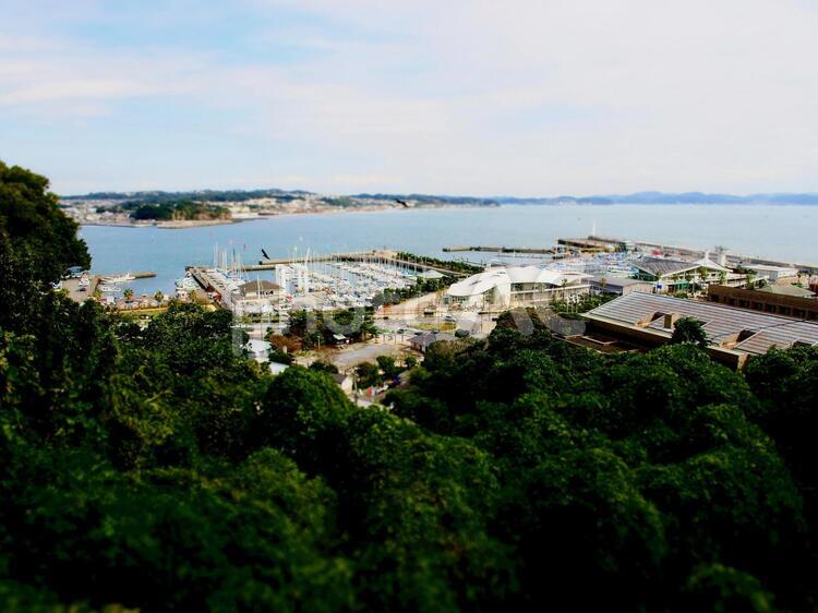 海を見下ろす風景 海,夏,光の写真素材