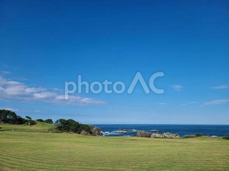 種差の夏空と太平洋｜芝生の海岸風景 種差海岸,八戸,青森の写真素材