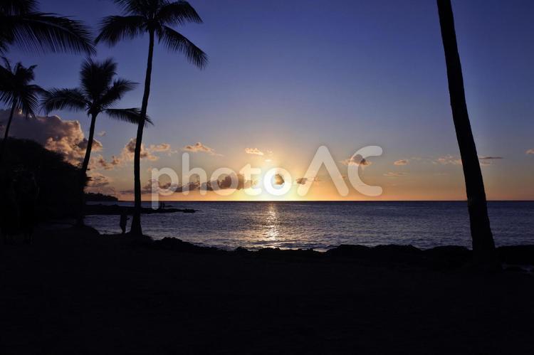 ハワイ島の夕暮れ ハワイ島,ワイコロアビーチ,夕暮れの写真素材