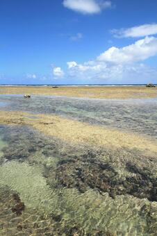 沖縄の海 沖縄,海,海岸の写真素材