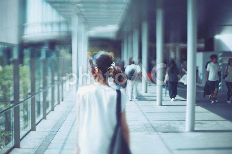 歩く女性の後ろ姿ぼかし風景 女性,女の子,後ろ姿の写真素材