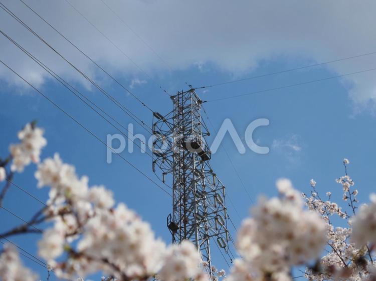 鉄塔がある風景 鉄塔,送電線,電線の写真素材