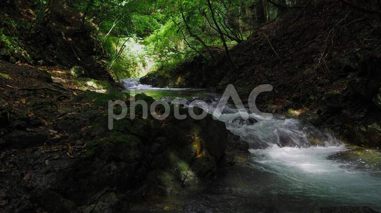 初夏の渓谷_その2(初谷渓谷) 初谷渓谷,自然,渓谷の写真素材