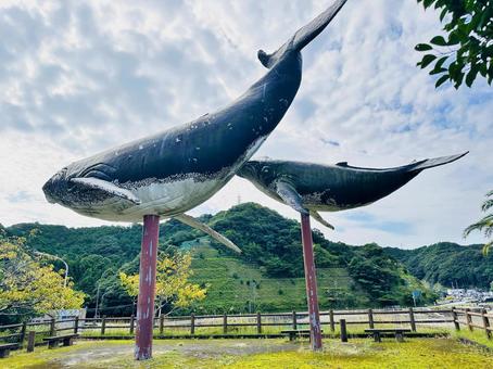 太地町立 くじらの博物館付近 太地町立 くじらの博物館付近の写真