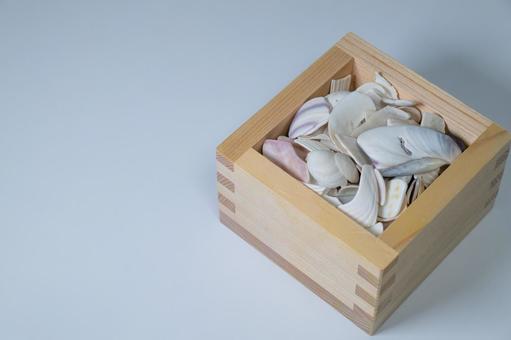 升に入った貝殻と白い背景 貝殻,升,木箱の写真素材