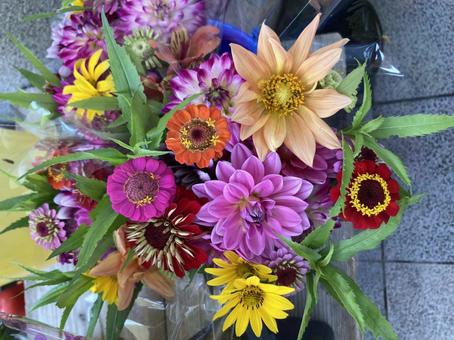 お花 お花の写真
