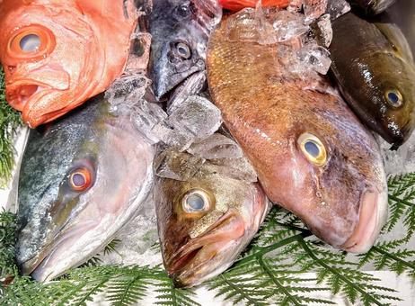 天然魚 天然魚の写真