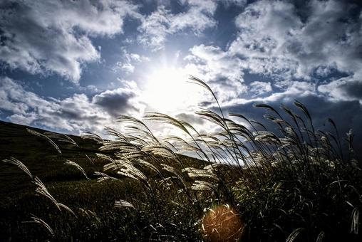 ＜素材＞秋の空に浮かぶ太陽とススキの穂 ススキ,空,サンセットの写真素材