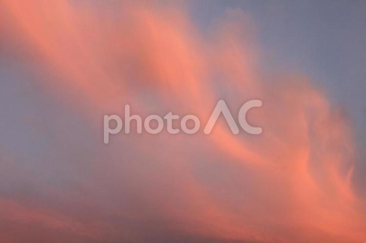 柔らかなシルクのようなピンク色の雲① 雲,ピンク,シルクの写真素材