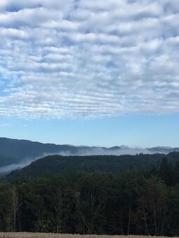 郡上の朝霧の写真