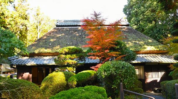 秋のからくり忍者屋敷 からくり忍者屋敷,伊賀流,忍者屋敷の写真素材