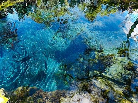 風景 景色,風景,水面の写真素材