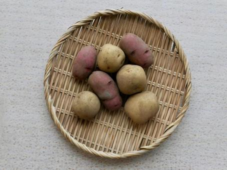 ジャガイモ ジャガイモ ジャガイモ,じゃがいも,野菜の写真素材