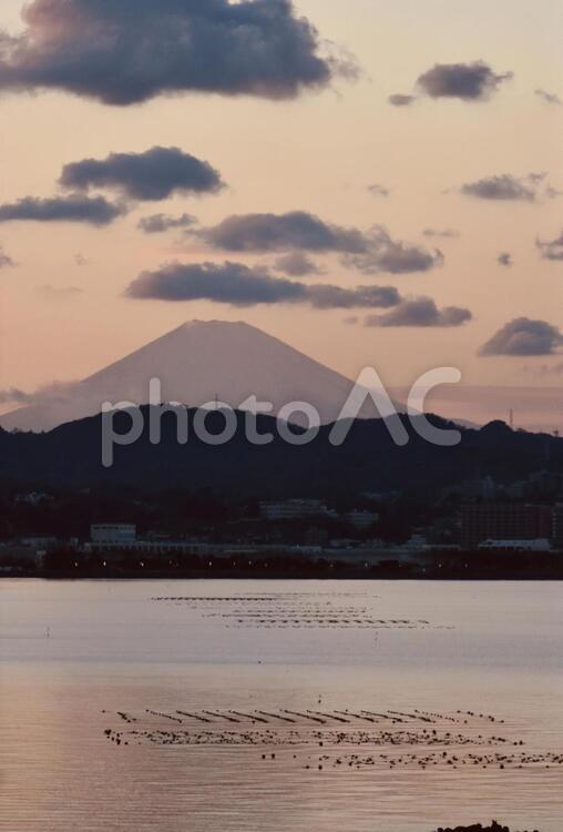 富士山と夕焼け 水域,風景,浜の写真素材