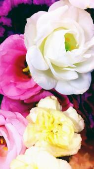 ブーケ  02の写真