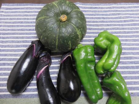 野菜 野菜の写真