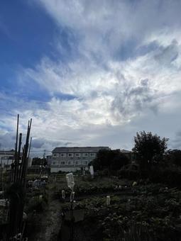 田舎の空 空,早朝,天使のはしごの写真素材