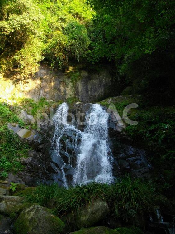 愛媛県菊間町にある歌仙の滝 歌仙の滝,滝,山の写真素材