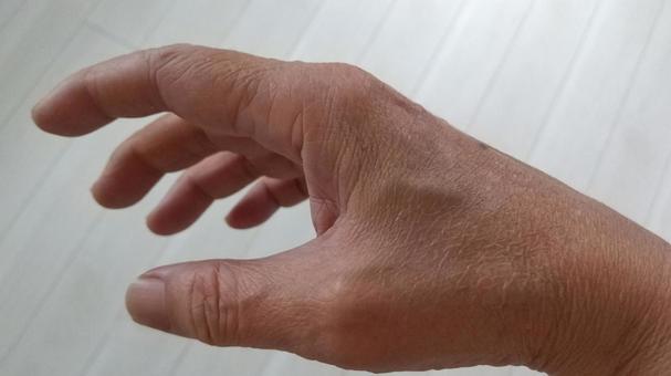 右手 右手,手,手の甲の写真素材