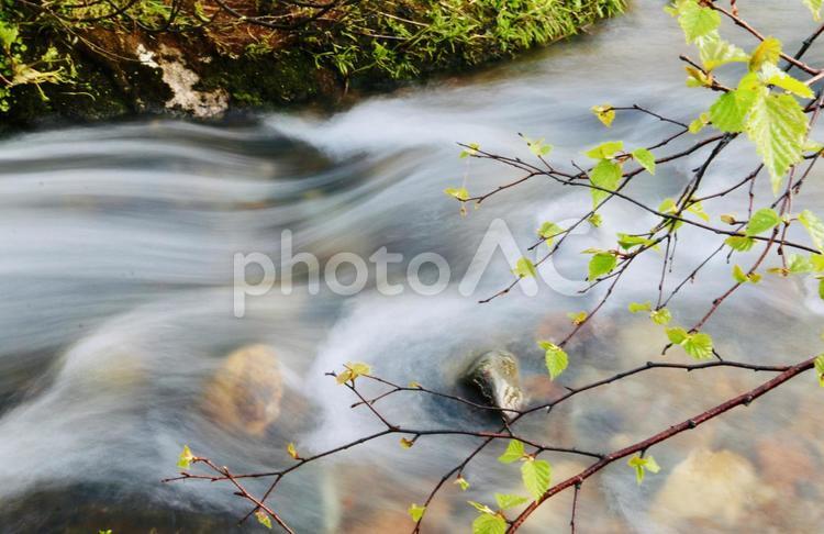 雪解けの川（スローシャッター） 川,流れ,せせらぎの写真素材
