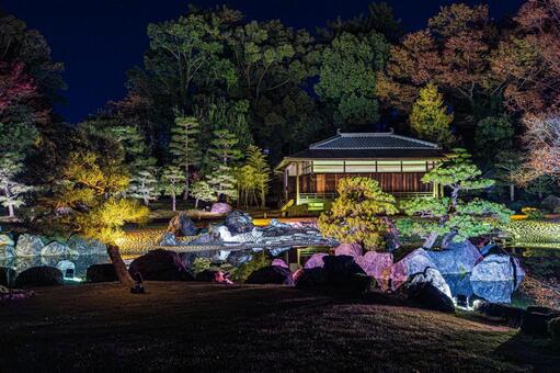 紅葉風景 紅葉風景,京都,二条城の写真素材