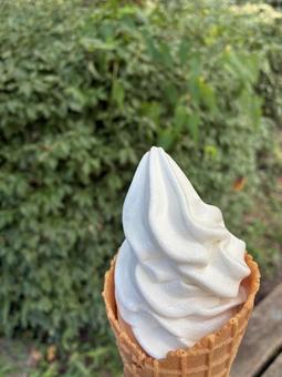 ソフトクリーム ソフトクリームの写真