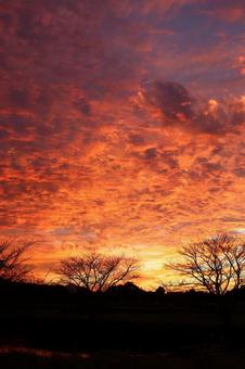 糸島の素晴らしい夕焼け#05の写真