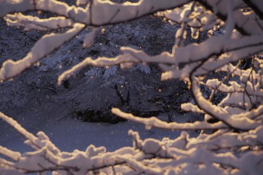 朝の雪景色 朝の雪景色の写真