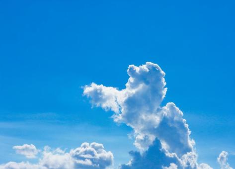 青空に湧き上がる雲 青空に湧き上がる雲 空,入道雲,雲の写真素材