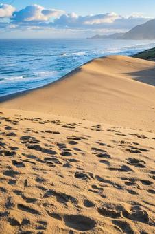 鳥取県　鳥取砂丘の風景 鳥取砂丘,日本の風景,自然の写真素材