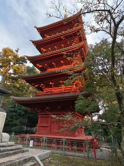 千葉県-法華経寺-五重塔 法華経寺,寺,正中山の写真素材