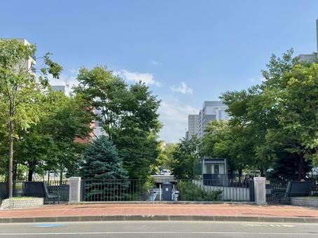 札幌 創成川通 札幌 創成川通 北海道,札幌,創成川の写真素材