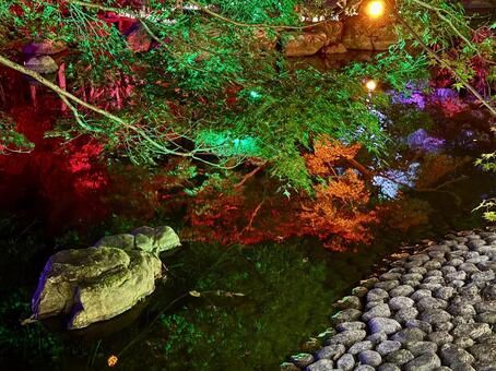 越前陶芸村　陶あかり　福井県陶芸館 福井,越前市,伝統工芸の写真素材