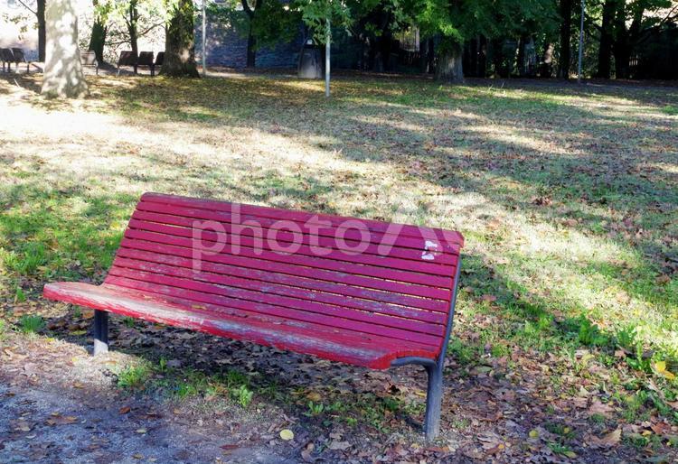 イタリアの公園内の赤いベンチ　日差し 公園,イタリア,ベンチの写真素材